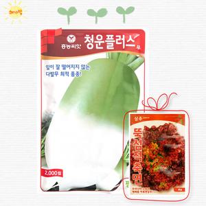팜한농 흥농 청운플러스무 2000립 저장 김장 가을 무 무우 씨앗 씨 종자