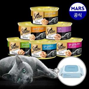 쉬바 캔 85gx24개 골라담기+고양이낚시대+베베숲물티슈1팩