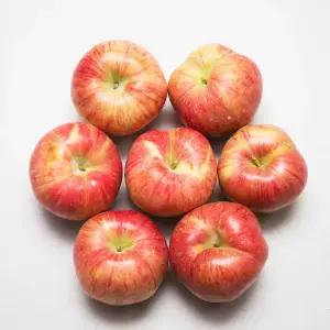 25년 햇사과 홍로사과 2kg (11~13과)가정용 2박스 구입시 500g추가/미색/상처과/