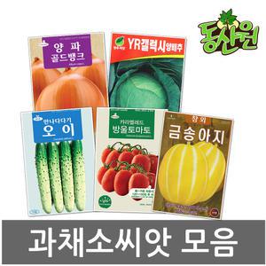 씨앗모음 과채소 방울토마토씨 오이씨 양배추씨 양파씨 씨앗