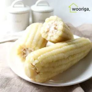 백찰 냉동 삶은 찰 옥수수 24개 (18∼20cm 내외) 옥수수