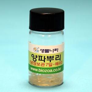양파뿌리(해리)