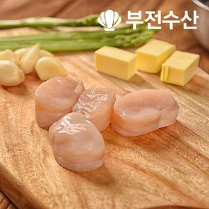 부전수산 냉동 신선한 키조개관자 (개아지살) 1kg 관자 관자구이 관자삼합 관자버터구이 관자찜