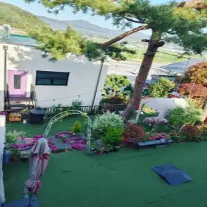 [전남 펜션] 담양 소나무펜션 (담양,곡성,화순,구례)