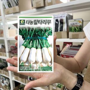다농 알타리무 씨앗 500립 알타리무씨 종자