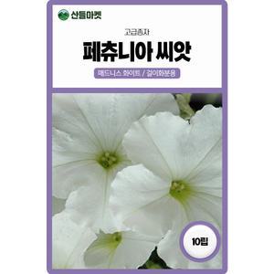산들마켓 페츄니아 꽃 씨앗 20립 매드니스 화이트 이년생 조생 꽃씨 종자