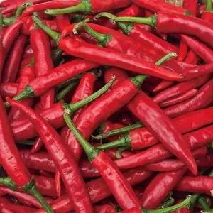 25년 국내산 햇 홍고추 2kg