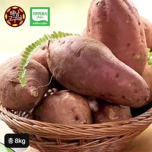 (특등급) 25년 햇 해남 밤고구마 총 8kg (4kg+4kg)