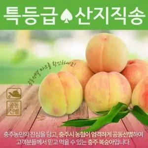 [2025 특등급] 하늘작 충주 복숭아 5kg(2.5kgx2상자)_제철 산지직송