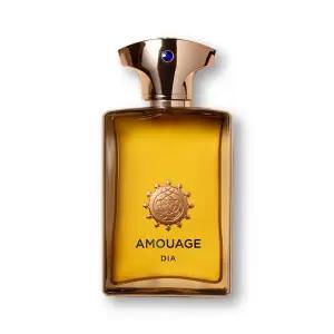 [AMOUAGE]아무아쥬 디아 맨 EDP 100ml