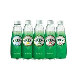 [본사직영] 롯데 트레비 4종 300ml x 40펫