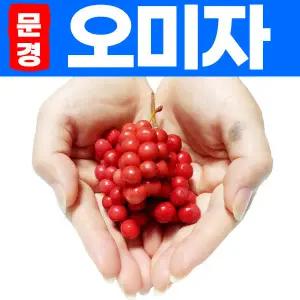 오미자 2025년 문경오미자 5kg 10KG 당절임 청 생과 산지 발송 예약받습니다