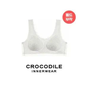 [하프클럽/ 이너웨어]레이스 퓨징 몰드부착 감탄브라 1종 CDWBR2M01T