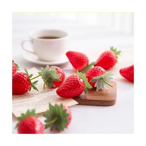 데코봉봉 딸기 모형 10P (5cm)
