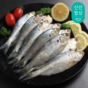 [더이득/2개이상1,000원할.인.]25년 햇 출하 가을 전어 1kg 12-20미내외