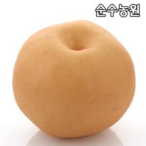 배나무 묘목, 신고 접목1년 뿌리묘 1개/유실수/과실수