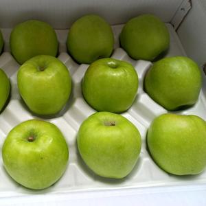 [프레쉬킹] 아오리 썸머킹 여름 사과 2kg 3kg