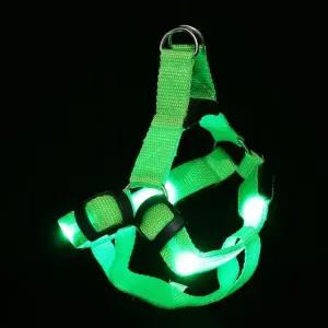 LED 등불 하네스 반려견 가슴줄 (WFHOTUQ)