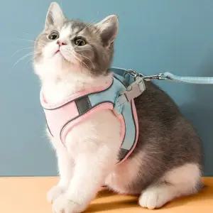고양이 반려동물 하네스 목줄 (WFHOTUK)