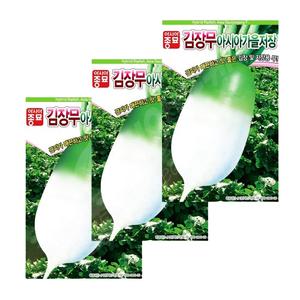아시아가을저장 김장무 씨앗 12g 3봉 가을 김장무씨 종자