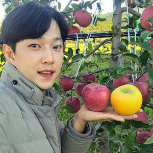굿파더농원 안동 꿀 사과 시나노골드 정품 5kg GAP