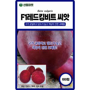 산들마켓 F1레드킹 비트 씨앗 100립 당도가 높고 색상이 진한 교배종 조생종 우수 품종