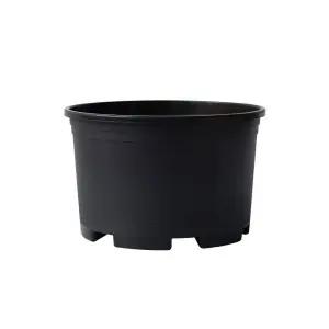 BSP 대형 플라스틱 포트 화분 낮은38호 38x25cm 베란다 작목용 구황작물 재배용 텃밭용 식물