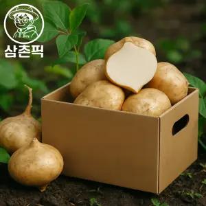 삼촌픽 10대 슈퍼푸드 히카마 얌빈 멕시코감자 10kg