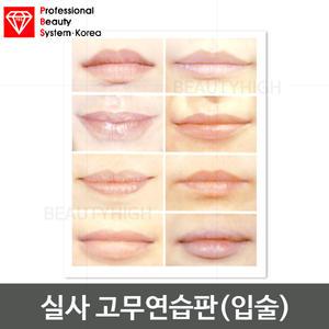 실사 고무연습판(입술)/반영구고무연습판/엠보연습/반영구화장재료