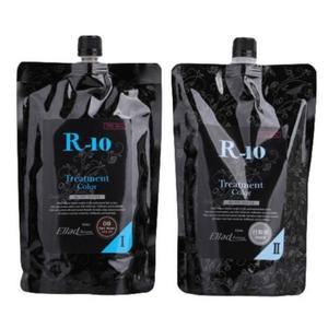 오로라 R-10 노블피스 트리트먼트 칼라 헤어 염색약 500g