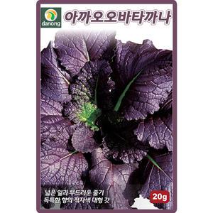 다농 아까오오바타까나 씨앗 20g 적색 갓씨 일본갓 채소 종자
