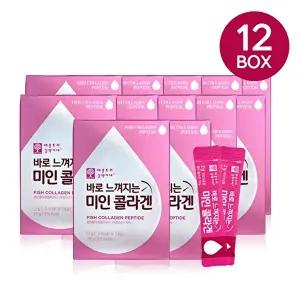 [애플트리 김약사네][애플트리김약사네] 바로느껴지는 미인콜라겐 12박스(J)
