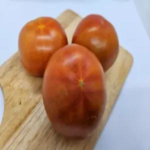 완숙 토마토1. 5kg
