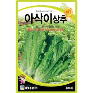 세계종묘 아삭이상추 씨앗 1000립 아삭이 상추씨 쌈채소 종자