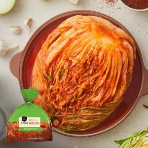 [갓담은 생김치 직배송] 비비고 베이직 김치 10KG