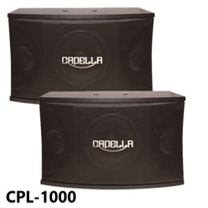 금영 태진 스피커 CPL-1000 10인치 450W 고출력 노래방 헬스장 행사자 무대 파티룸