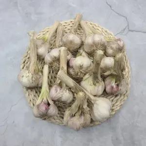 해남 햇마늘(벌마늘) 한접 (소사이즈,100개)