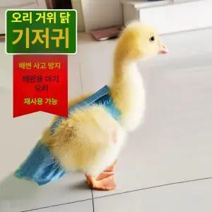 닭기저귀 배변 똥주머니 오리 방수 팬티 조류 기저귀