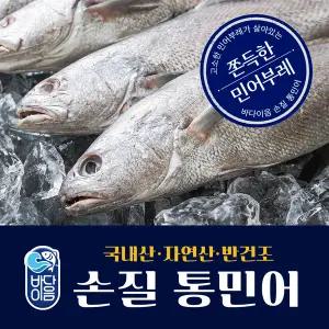 [바다이음]국내산 자연산 반건조 손질 통민어