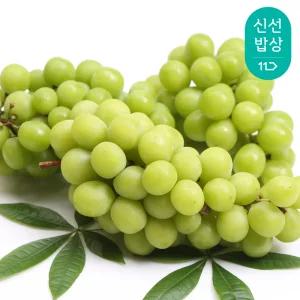 농협과일 서상주 모동 샤인머스켓 1.2kg 2수