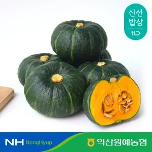 [농할 9,920원] 익산원예농협 포슬포슬 국내산 미니 단호박 3kg (8~12입)