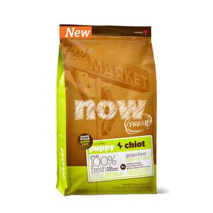 now나우프리스몰브리드퍼피 2.72kg