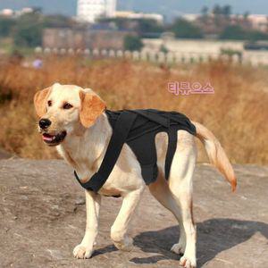 강아지 소형 중형 대형견 허리 보호대 보조기  척추 관절 노견 장애견 가슴줄 훈련 보