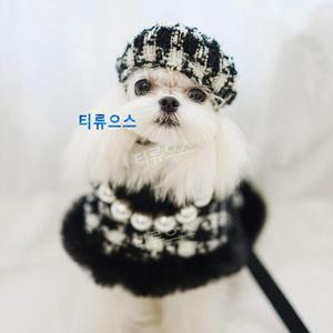 강아지 망토 트위드 숄 자켓 후드 스카프 담요 애견 실내복 케이프 고양이 옷 티류으스