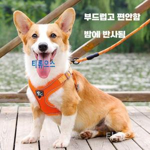 티류으스 조끼형 두꺼운산책줄 웰시코기하네스 고양이하네스 목줄