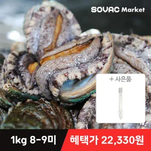 [바다마을] 완도 활 전복 특대 1kg 8-9미 산소포장(+세척 솔 증정)