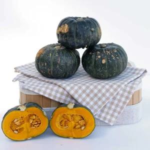 [테이스티] 제주 미니단호박 (보우짱) 가정용 4kg / 2개 주문시 9kg 발송