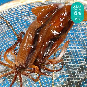 [더주] 동해안 자연산 활 오징어 1kg /8-16미