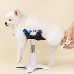 강아지 미용 거치대 소형견 목욕 고정 받침대 셀프미용의자 회전테이블 보조대 티류으