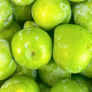 새콤달콤한 제철 켈시자두 1kg(7-13과내외)